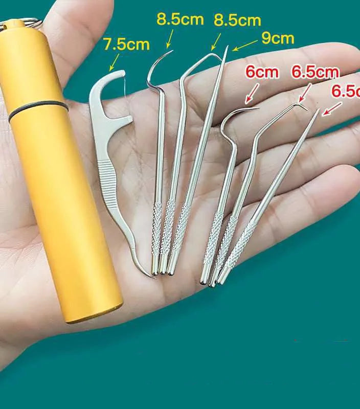 Stainless Steel Toothpick Tool