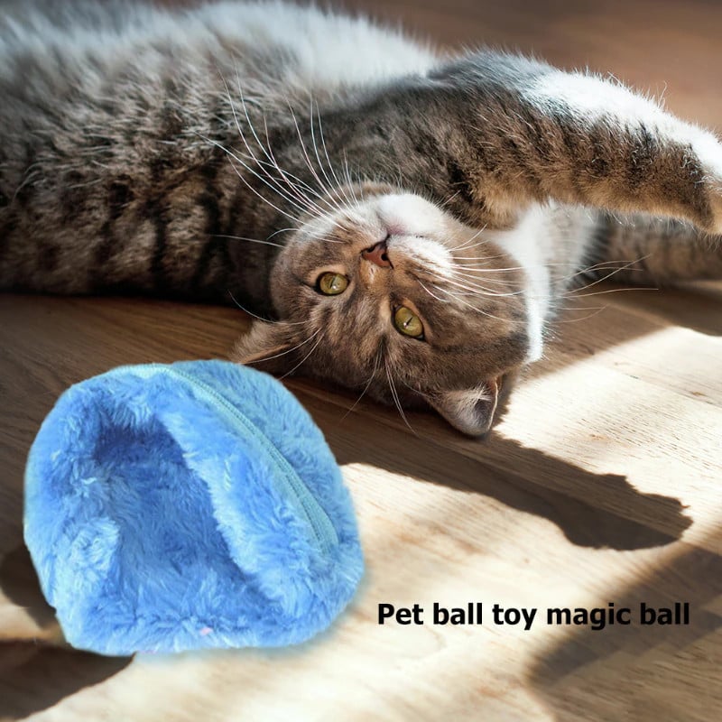 Active Rolling Ball (4 Colors Included)