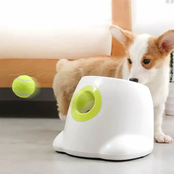 DogPro™ Automatic Ball Launcher