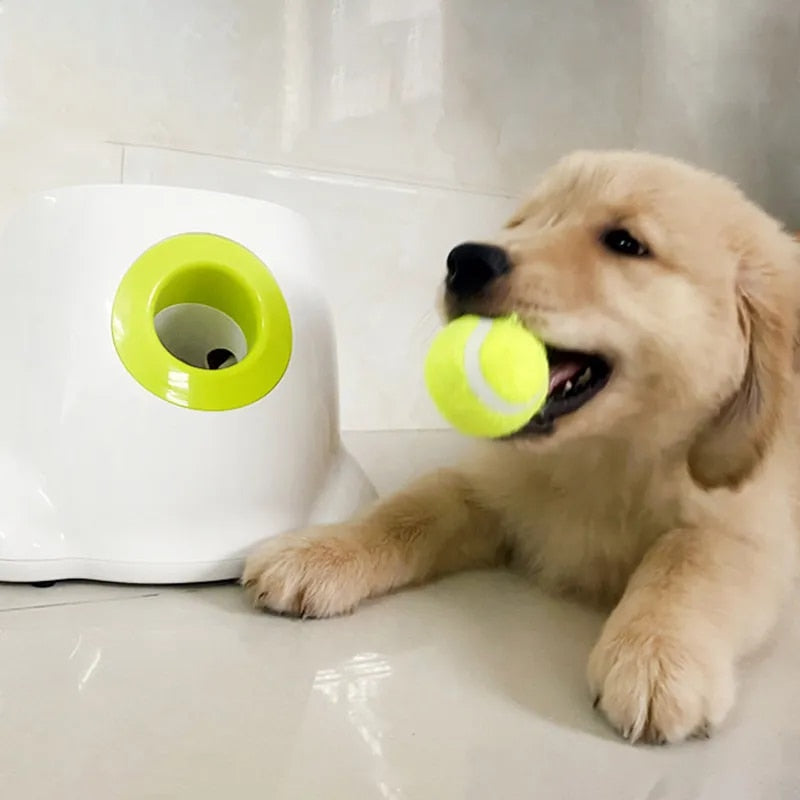 DogPro™ Automatic Ball Launcher